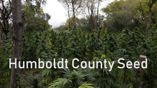 Humboldt Seed